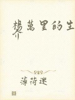 杨万里的生平简介