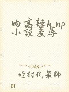 肉高辣h np小说羞辱