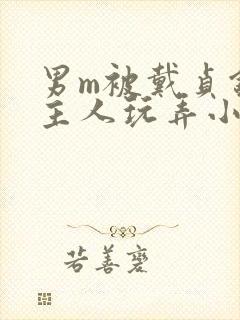 男m被戴贞锁被主人玩弄小说