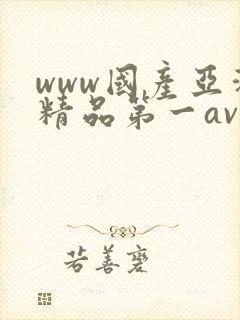 www国产亚洲精品第一av