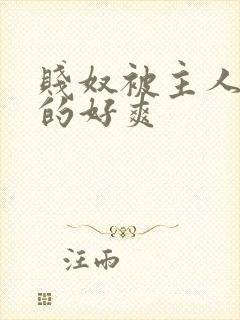 贱奴被主人调教的好爽