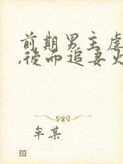 前期男主虐女主,后面追妻火葬场