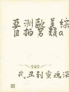 亚洲欧美综合区自拍另类a