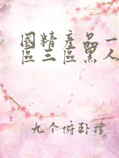 国精产品一区二区三区黑人免费看