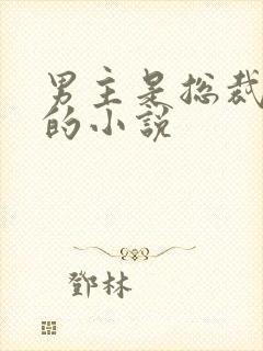 男主是总裁姓盛的小说