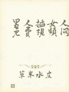 男人插女人下面免费视频网站