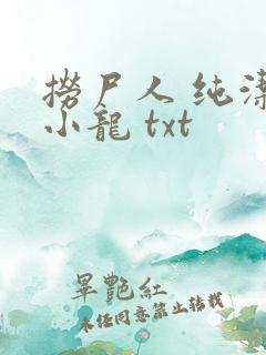 捞尸人 纯洁滴小龙 txt
