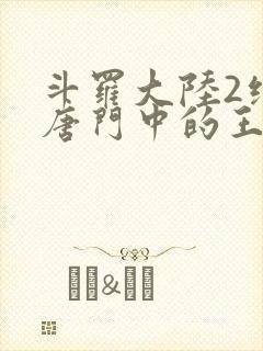 斗罗大陆2绝世唐门中的王冬