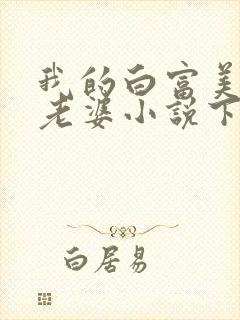 我的白富美总裁老婆小说下载