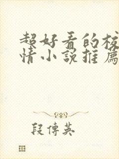 超好看的校园言情小说推荐