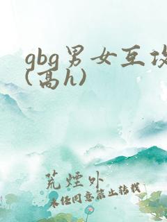 gbg男女互攻(高h)