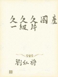 久久久国产精品一级片