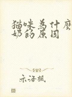 猫咪为什么爱踩奶的原因