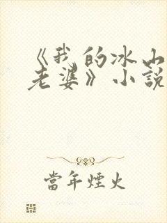 《我的冰山总裁老婆》小说