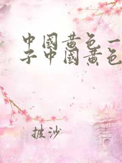 中国黄色一级片子中国黄色一级片