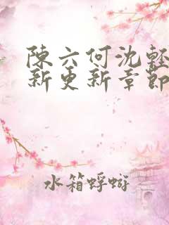 陈六何沈轻舞最新更新章节