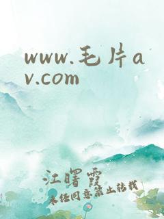 www.毛片av.com