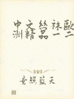 中文丝袜欧美亚洲精品一二