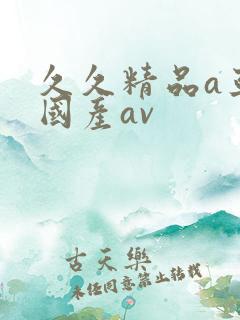 久久精品a亚洲国产av