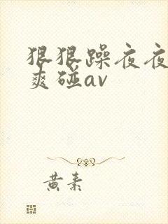 狠狠躁夜夜躁人爽碰av