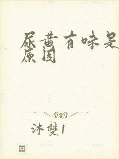 尿黄有味是什么原因