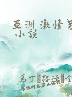 亚洲 激情另类 小说