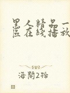 黑人精品一区二区在线播放