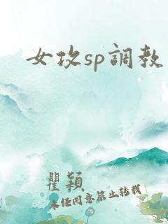 女攻sp调教