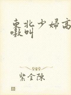 东北少妇高潮嗷嗷叫