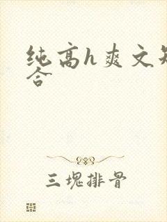 纯高h爽文短篇合