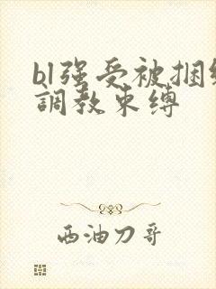 bl强受被捆绑调教束缚