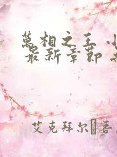 万相之王 小说 最新章节 无弹窗