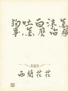 狗吐白沫怎么回事,怎么治疗