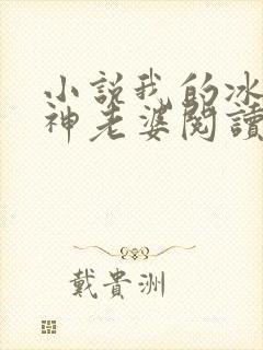 小说我的冰山女神老婆阅读