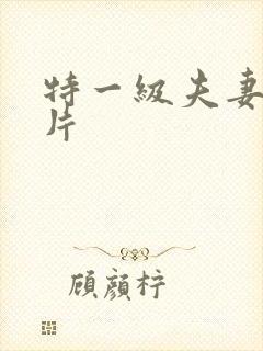 特一级夫妻生活片