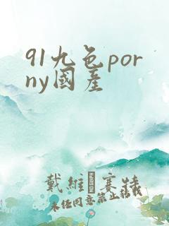 91九色porny国产