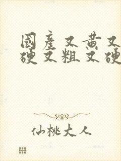 国产又黄又大又硬又粗又硬又猛又爽视频