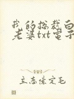 我的总裁白富美老婆txt电子版