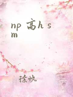 np 高h sm