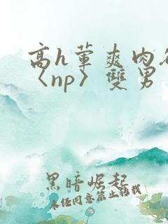 高h荤爽肉欲文〈np〉双男