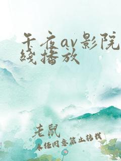 午夜av影院在线播放