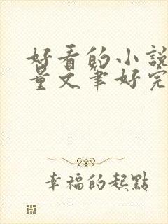 好看的小说高质量文笔好完结