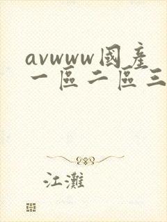 avwww国产一区二区三区