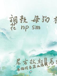 调教 母狗 校花 np sm
