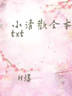 小清欢全本番外txt