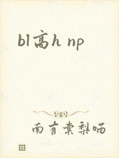 bl高h np
