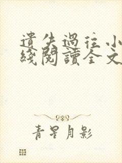 遗失过往小说在线阅读全文无弹窗