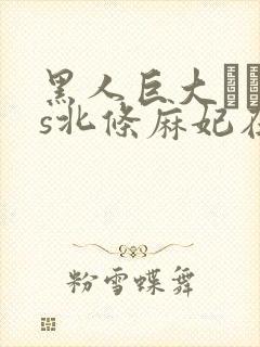 黑人巨大マラvs北条麻妃在线观看