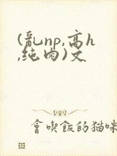 (乱np,高h,纯肉)文