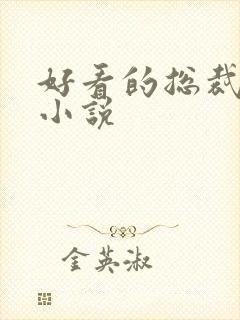 好看的总裁言情小说